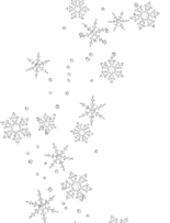 Transparent_Snowflakes_Clipart-325266-edited-031226-edited.png