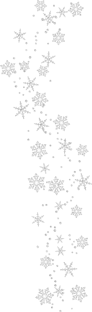 Transparent_Snowflakes_Clipart-325266-edited.png Transparent_Snowflakes_Clipart-325266-edited.png