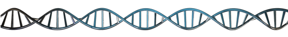 dna_strand_with_alpha_01_vid_prev-488207-edited.png